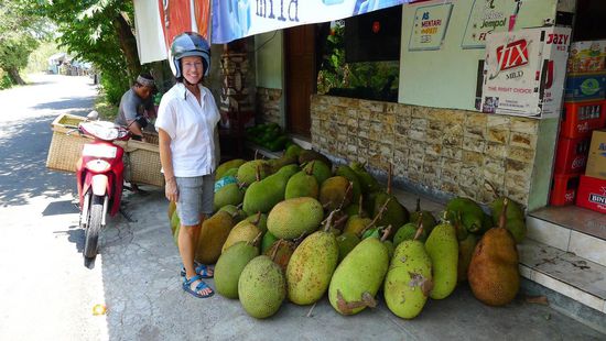 Einer unserer Lieblingsfrüchte: Jackfrucht. Ohne entsprechendes Equipment kaum zu verarbeiten. Da ist man auf Händler mit fertig geschnittenem Obst angewiesen.