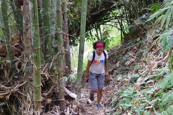 Ein wenig durchs Gestrüpp krauchen......