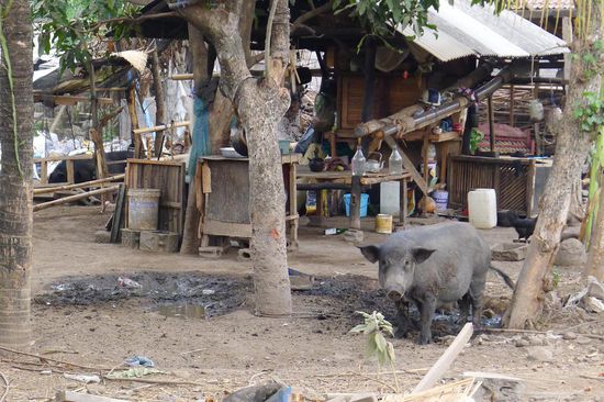 Dort herrscht noch typisches Landleben a la Bali
