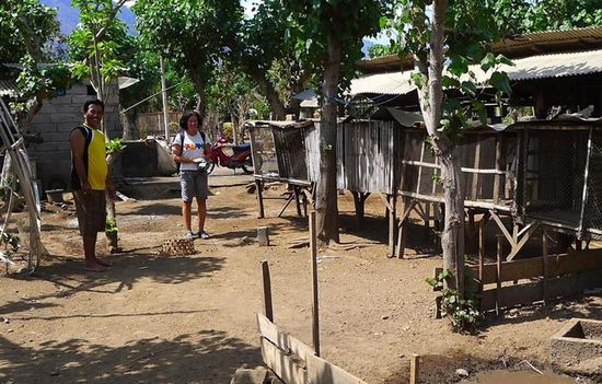 ....neben der Zucht diverser Nutztiere werden hier auch gängige Obstsorten angepflanzt. Man kann halt immer noch dazu lernen.