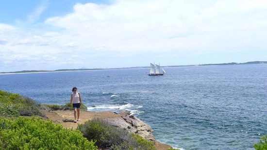 Wege führen entlang der Küstenlinie....