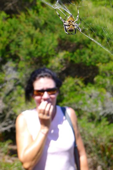 OK, das braucht man nicht unbedingt,....