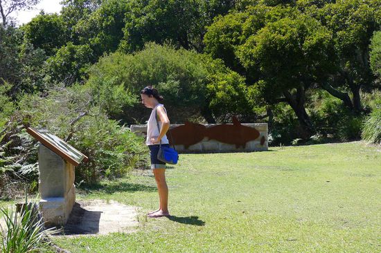 Entspannter wieder am Jibbon Beach, wo man prähistorische Felszeichnungen, mit entsprechender Erklärung, bewundern kann