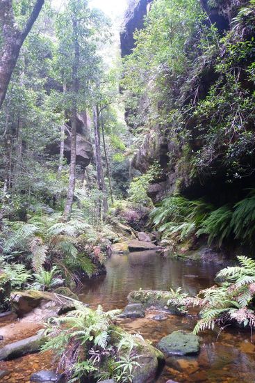 ....und zu unzähligen idyllischen Wasserläufen.