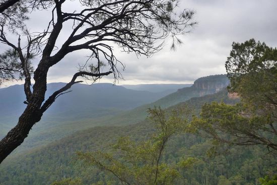 Wolkenverhangene Blue Mountains sehen eben auf ihre eigene Art faszinierend aus