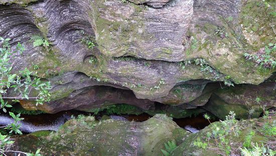 Blick in eine der tiefen Schluchten die durch reissende Flüsse geformt wurden (Grand Canyon Walk)