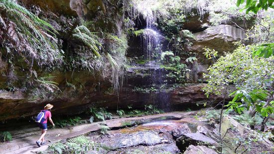 Der Weg führte oft unter niedrigen Felsvorsprüngen .......