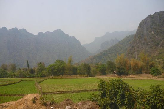 Die klassische Landschaft rund um Vang Vieng, Karstberge und Reisfelder....