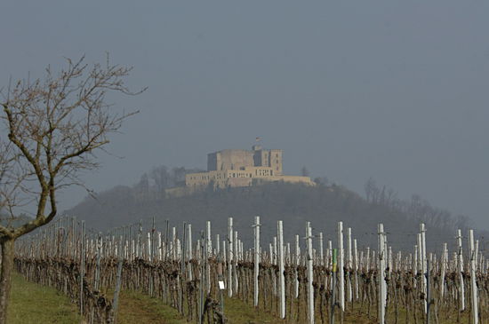 Hambacher Schloss 
27. bis 30.Mai 1832 Schauplatz der ersten Volksversammlung der neueren deutschen Geschichte. 30000 Menschen kamen auf dem Schloss zusammen, um für die Einheit und Freiheit Deutschlands zu demonstrieren