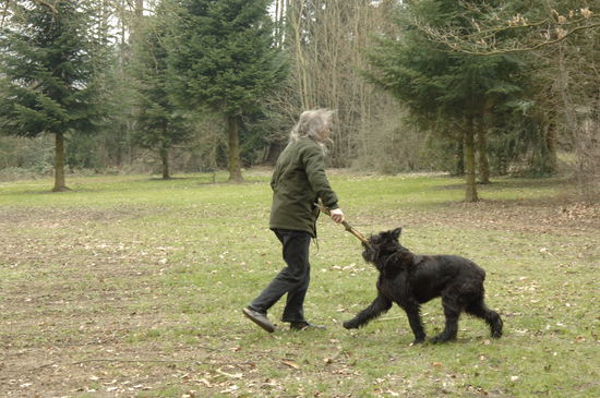 und sogar Jelli hat ihren Meister im Stockkampf gefunden.