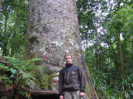 im Waipoua Kauri Forest