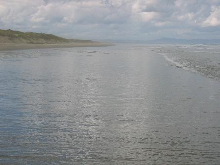 Ninety Mile Beach bei Hukatere - West Coast -