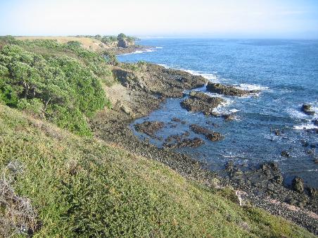 Henderson Point - East Coast -