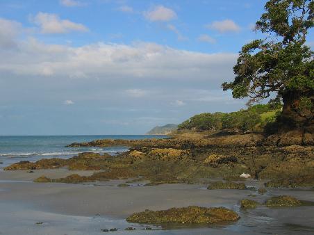 Langs Beach