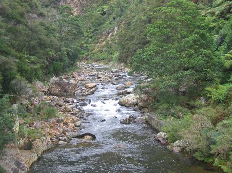 Karangahake Track
