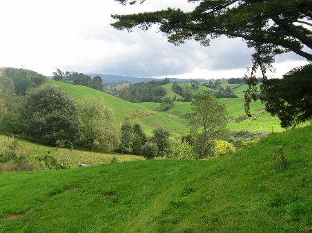 im McLaren Park