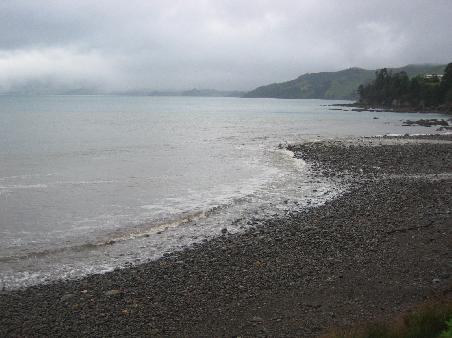 Westkueste zwischen Thames und Coromandel - leider bei Regen