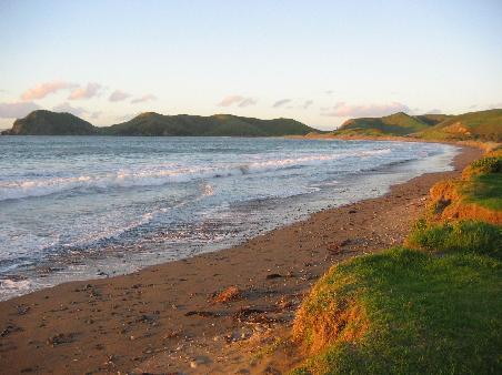 Abendstimmung am Port Jackson