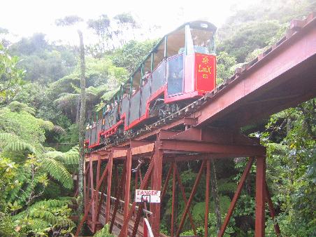 Fahrt mit der Eisenbahn durch den Kauriwald in Coromandel