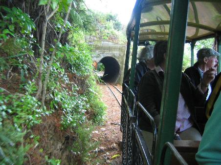 Fahrt mit der Eisenbahn durch den Kauriwald in Coromandel