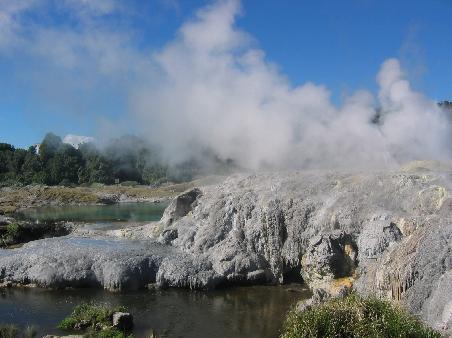 Geysire in Rororua