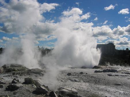 Geysire in Rororua