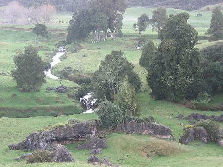 Waitomo Landschaft