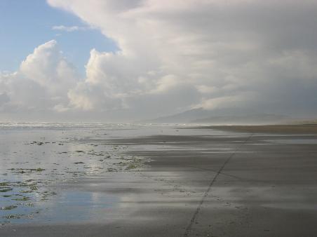 Westkueste bei Kawhia