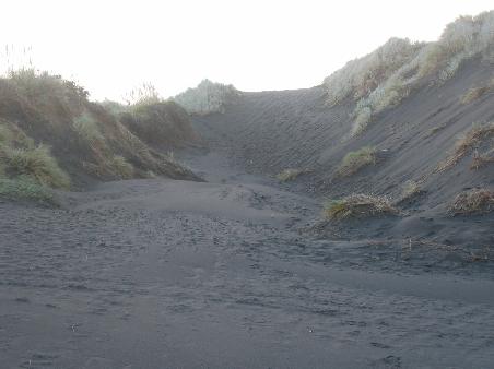 Black Beach - Schwarzer Strand bei Kawhia