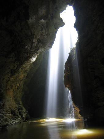 Abenteuer Hoehlenforschung in den Waitomo Caves