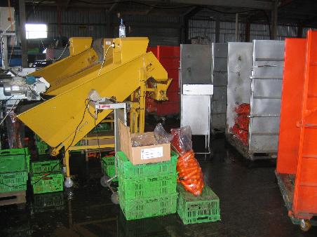 mein Arbeitsplatz im Packhouse