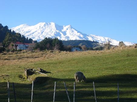 Blick aus dem Kuechenfenster am Morgen