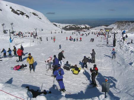 Beginner Area - Alpine Meadow -