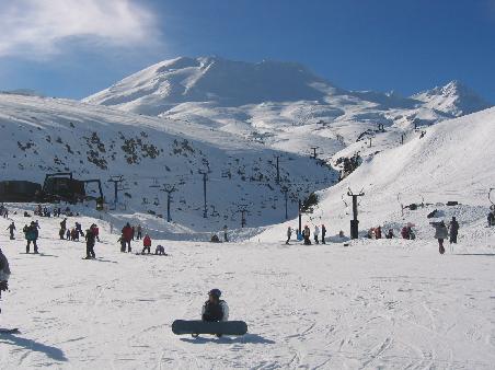Beginner Area - Alpine Meadow -