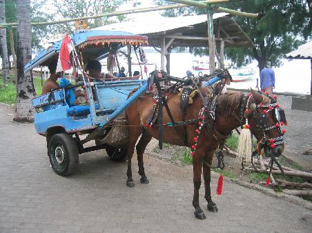 Horse-car auf Gili Trawangan