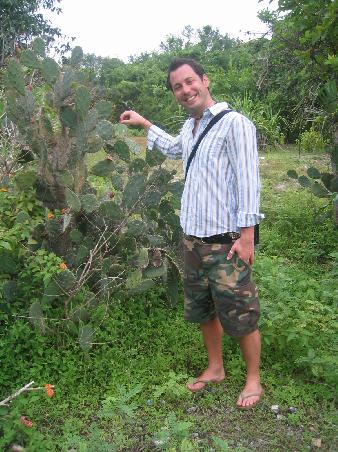 Walk around the island