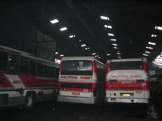 los ihr philippinischen hasen, bringt uns nach angeles!