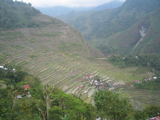für diesen ausblick hat sich der aufstieg doch gelohnt! in der mitte das dorf Batad!