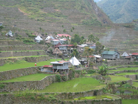 Batad und die kleine Maya!