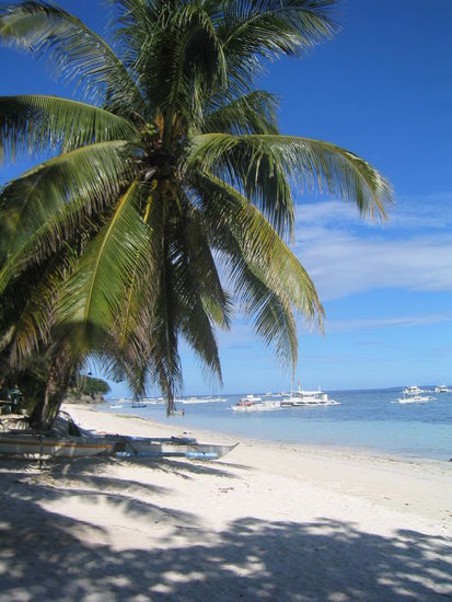 einfach paradiesisch!