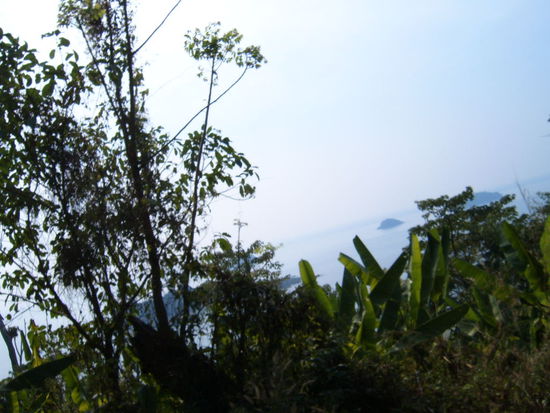 Mit einem offenen Sammeltaxi zum Lonely Beach. Die Insel ist die zweitgroesste in Thailand, hat hohe Berge, Urwald, Wasserfaelle und gluecklicherweise auch eine asphaltierte Strasse.