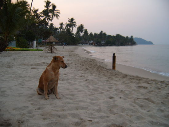 Morgens am Strand. Leider ein Party Strand. Bis 3 Uhr morgens super laute Techno Musik, die nicht besonders gut klingt. Ich geniesse dennoch den einsamen Strand am fruehen Morgen (konnte naemlich ueberhaupt nicht schlafen)