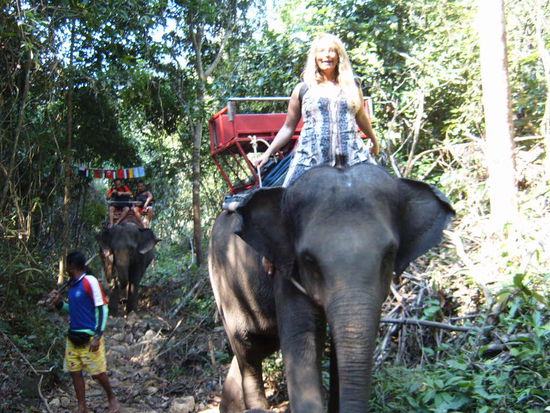 Ich darf vorn sitzen, denn der 10 Jahre alte Elefant ist nicht gewillt mich irgendwohin zu bringen, er will lieber fressen, daher sitze ich in seinem Nacken und treibe ihn ein bisschen an.