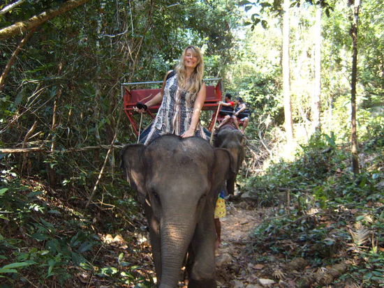 Das ist alles nicht so einfach. Bettina, Kati, wenn Ihr das lesen solltet - es ist much more easy to ride a horse, than an elephant!!!!