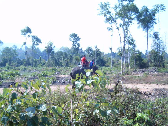 Mir tun die Beine weh vom Druecken gegen die Ohren &amp; gegen den Hals. Dickhaeuter im  wahrsten Sinne des Wortes.