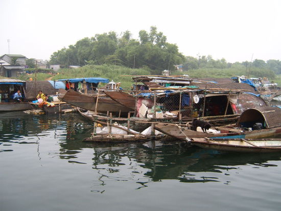 Das Fischerdorf auf dem Fluss. Die Menschen leben und arbeiten in den Booten. Die Bevoelkerung ist auch hier, sehr sehr arm.