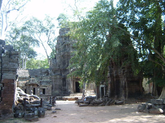 Das ist mein "Lieblingstempel" Ta Prohm