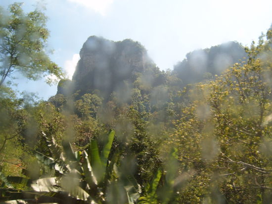 Khao Sok Nationalpark. Leider nur vom Bus aus fotografiert, da es jeden Tag heftig regnet, habe ich keine Lust auf einen Ausflug gehabt (Muecken, Zecken etc)