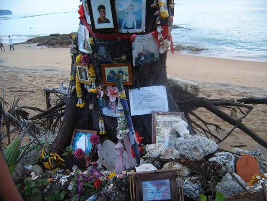 ... es ist einfach unfassbar, wie stark diese Wellen waren. Zum Teil kann ich es nachfuehlen, denn selbst die normalen Wellen hier, haben schon eine unglaubliche Wucht.