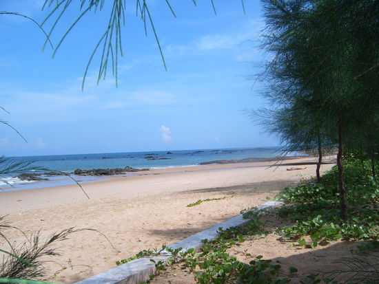 Alles sieht so friedlich aus....